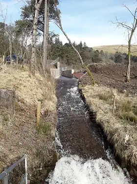 Scenic view of the River Ayr at Glenbuck